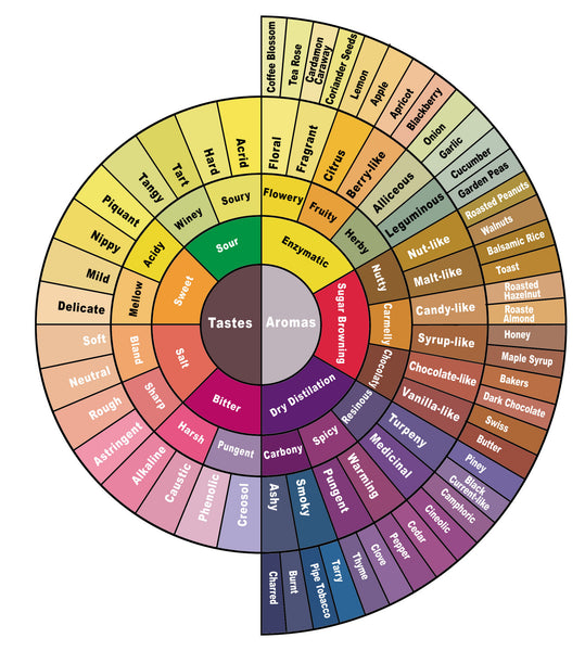 Coffee Tasting Wheel