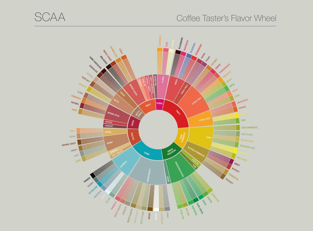 SCA Coffee Wheel