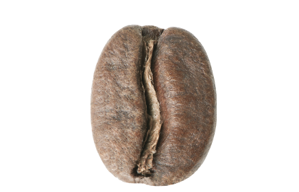 medium roasted coffee bean